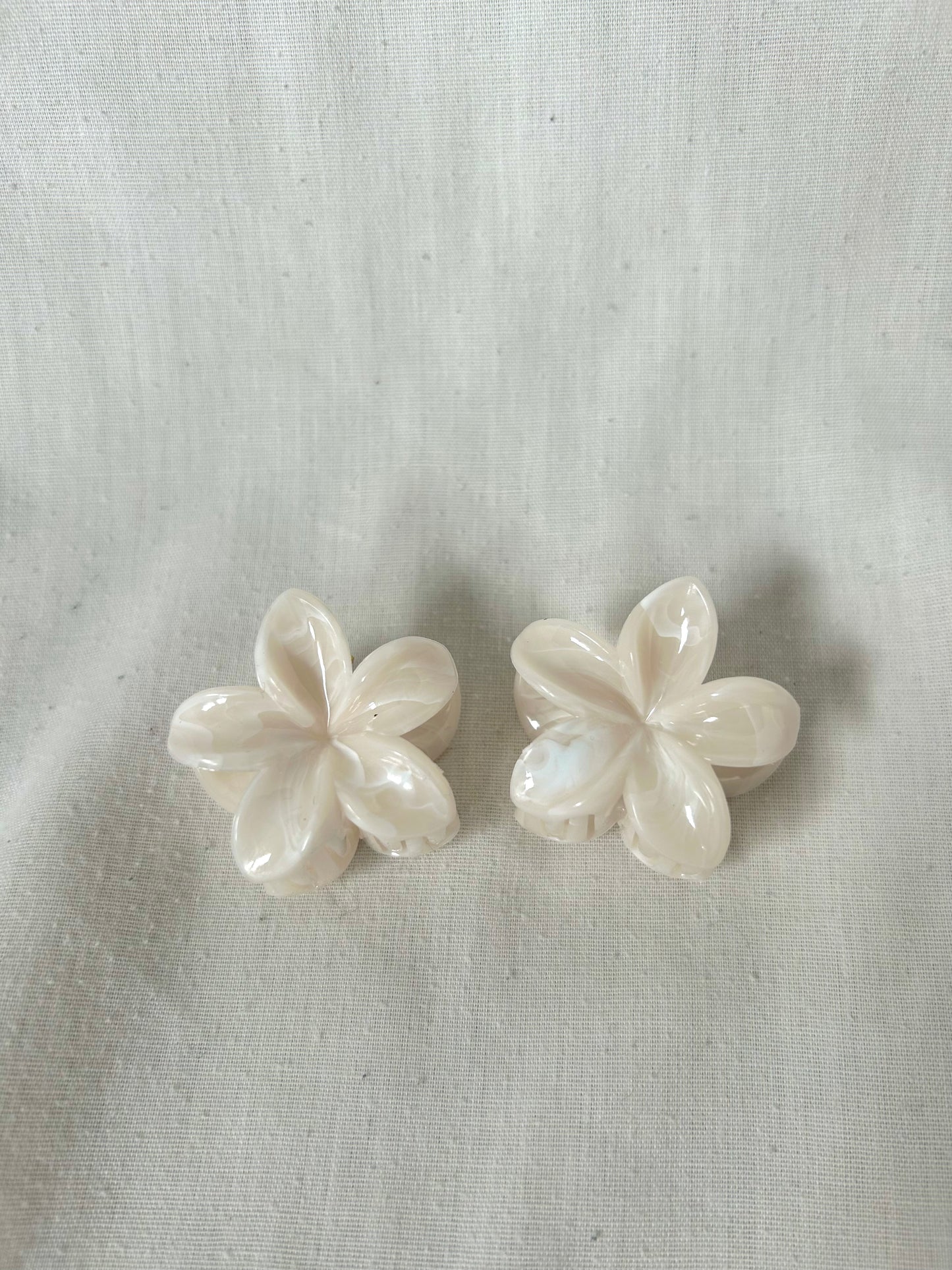 Pinces à cheveux - 2 petites