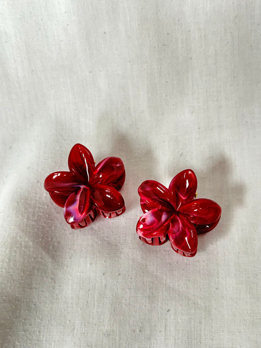 Pinces à cheveux - 2 petites