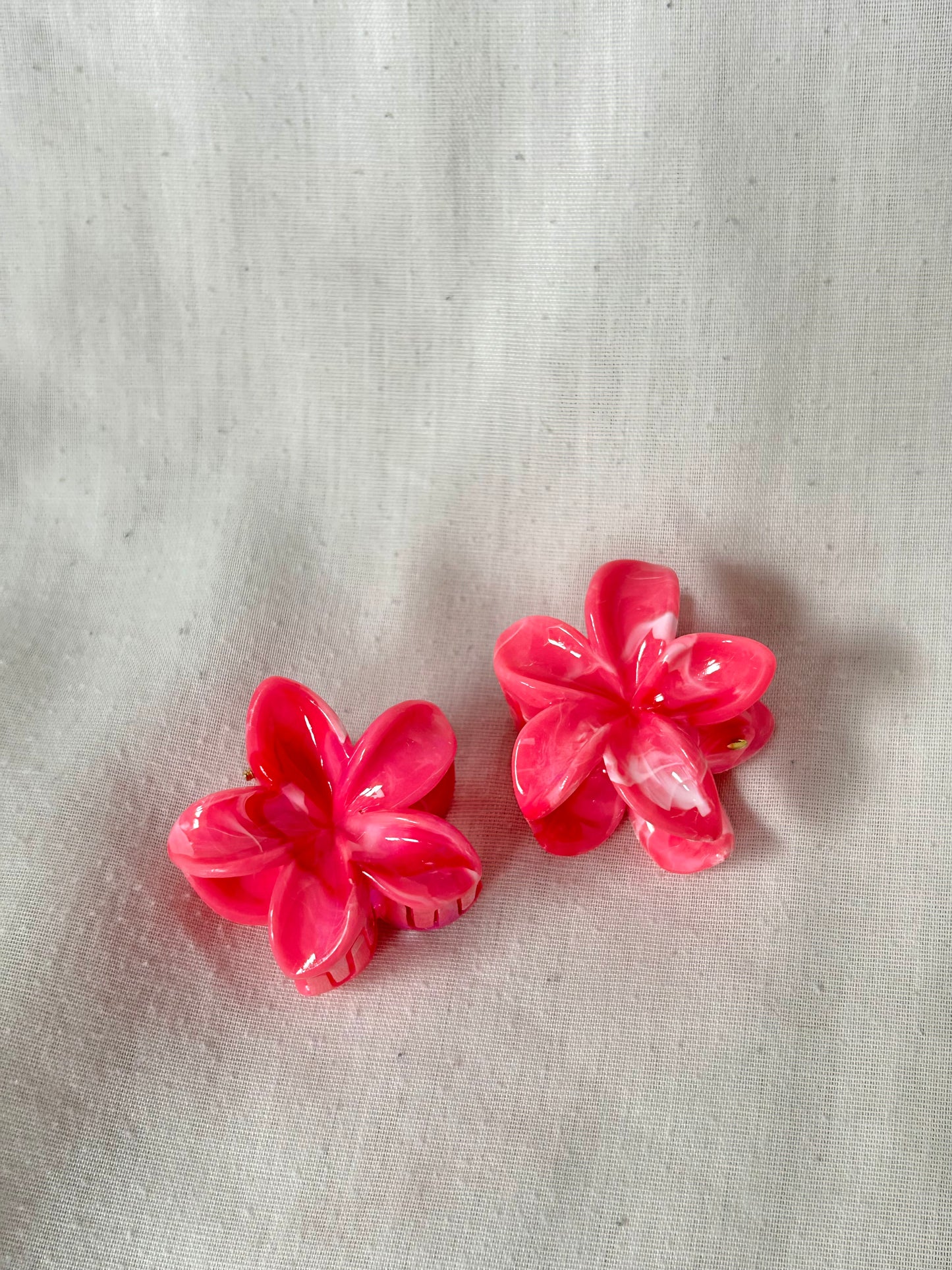 Pinces à cheveux - 2 petites