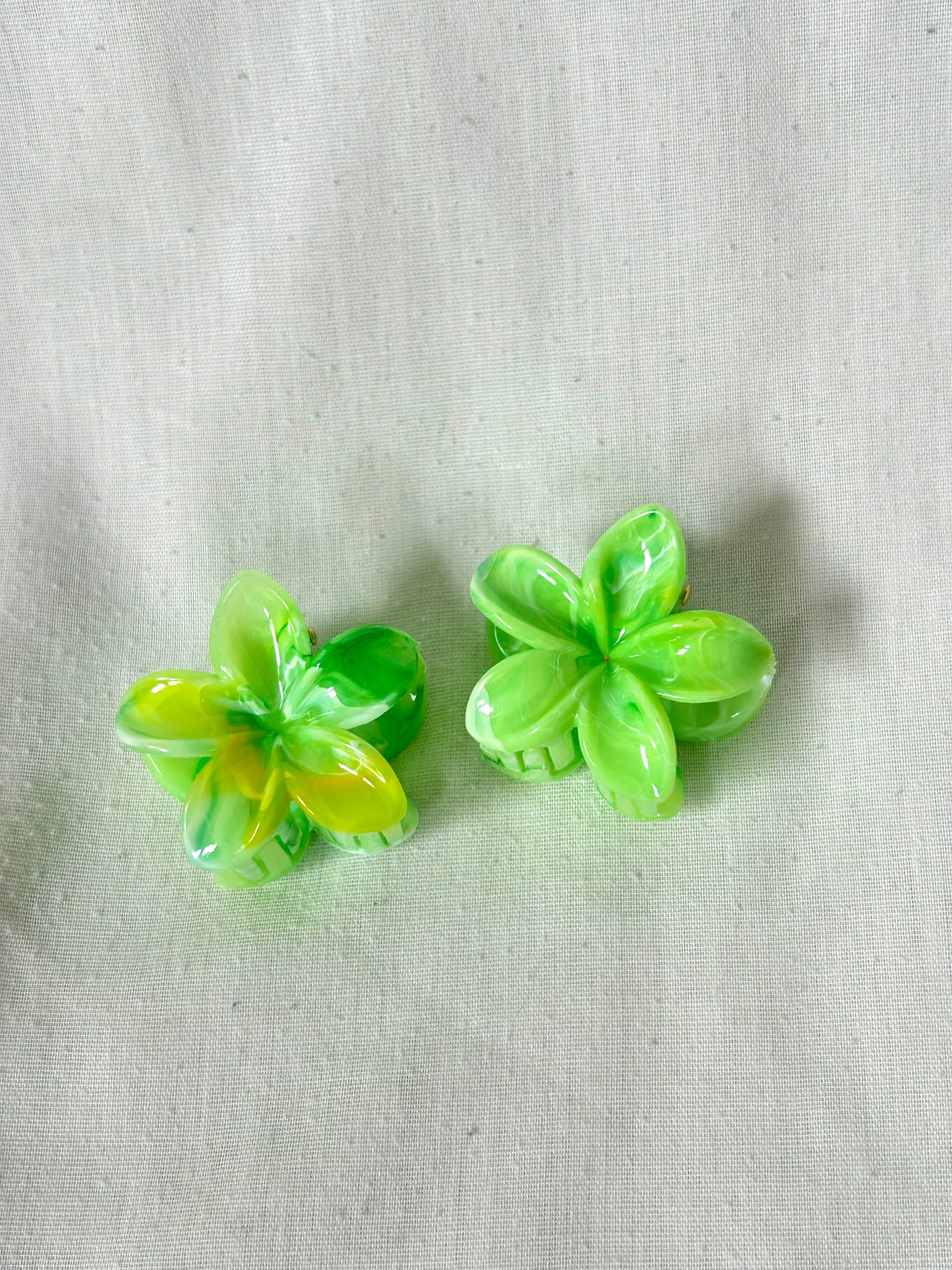 Pinces à cheveux - 2 petites